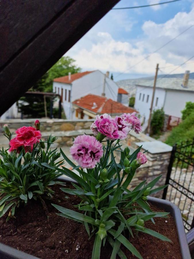 Venus Guesthouse Портариа Екстериор снимка